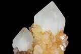 Sunshine Cactus Quartz Crystal - South Africa #80173-1